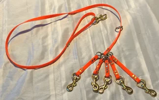 5-way-half-inch-dayglo-dog-lead