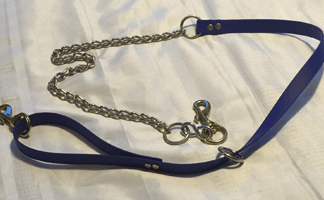 hunting dog leads with chain