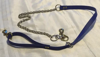 Beta Zeta Chain
