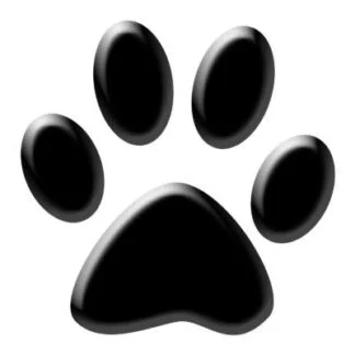 Hunting Dog Paw Care