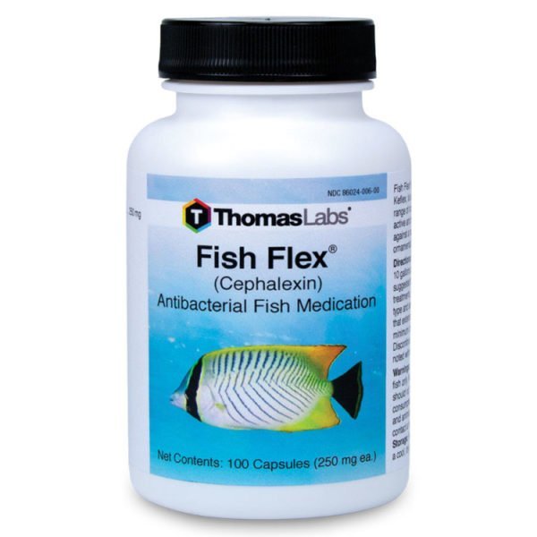 Fish Flex Antibiotic for Dogs • Eisenhut Dog and Kennel