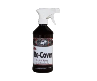 Elite Nutrition Re-Cover – Topical Herbal Support for Open Wounds and Proud Flesh Prevention